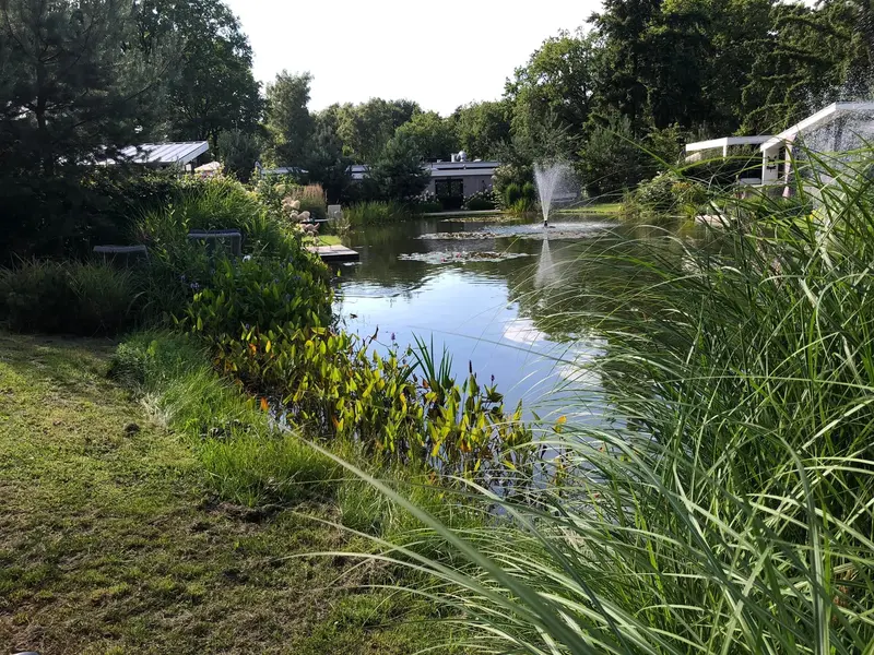 Huisjes rondom de vijver op Park Berkenrhode