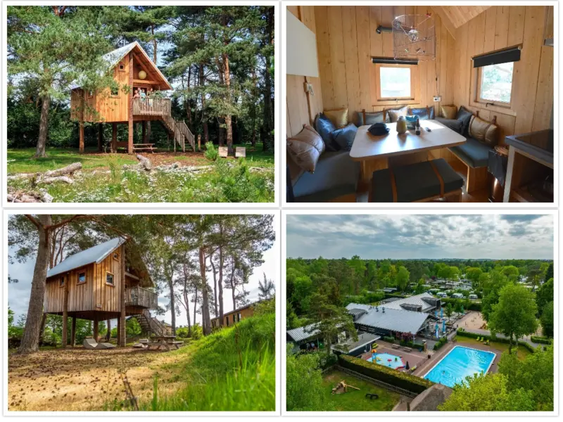 Unieke Boomhut op Hoogte in Ede in Veluwe, Ede