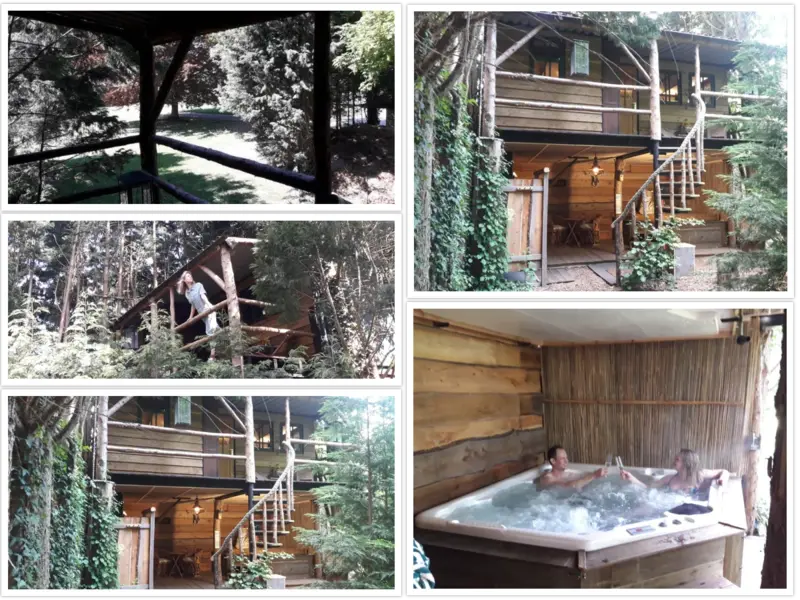 Luxe Boomhut Safari Lodge met Jacuzzi in Aalst in Gelderland, Aalst