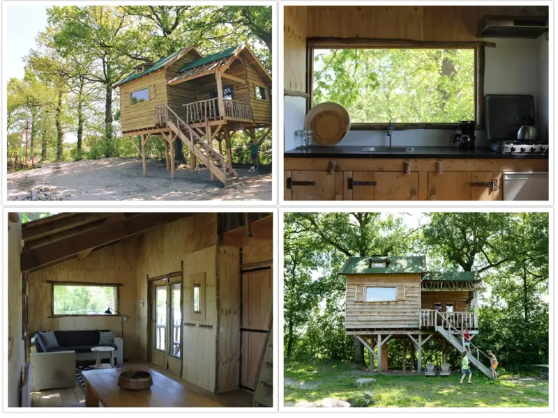 Unieke Boomhut Ervaring op Christelijke Camping Het Beloofde Land in Veluwe, Voorthuizen
