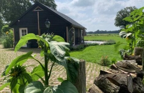 Luxe Natuurhuisje met Panoramisch Uitzicht in Loenen, Veluwe in Gelderland, Loenen