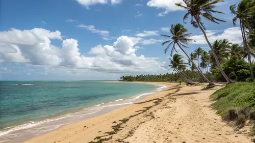 Strand en kustnatuur in Zeeland