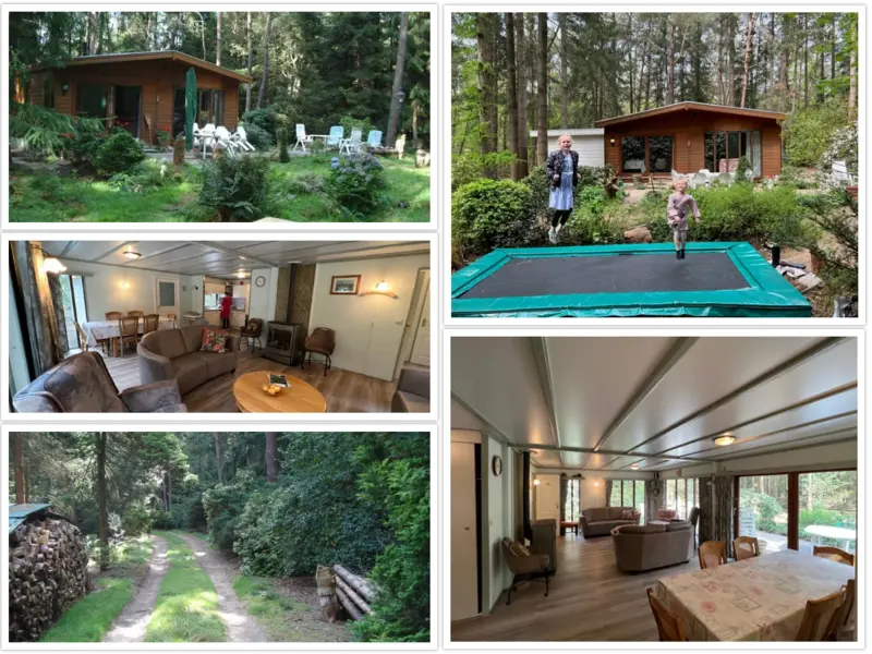 Charmant Boshuisje op Uniek Perceel in Garderen